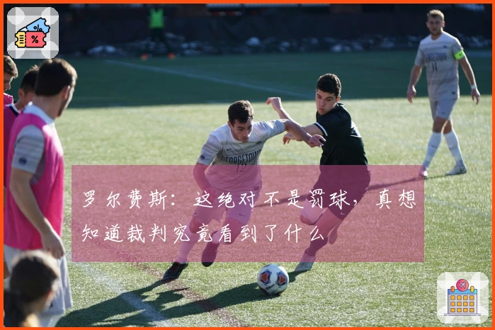 罗尔费斯：这绝对不是罚球，真想知道裁判究竟看到了什么