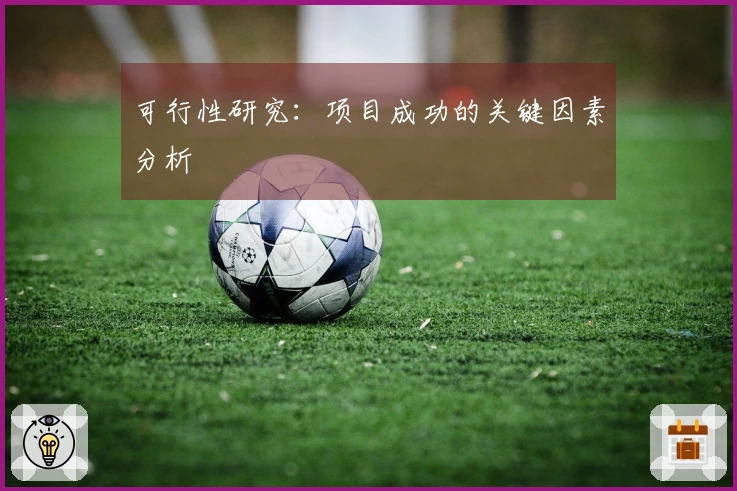 可行性研究：项目成功的关键因素分析