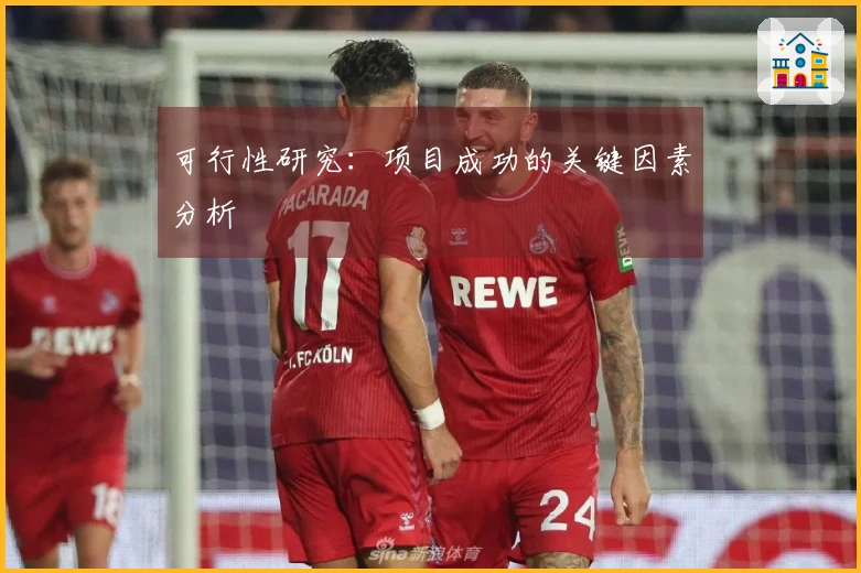 可行性研究：项目成功的关键因素分析