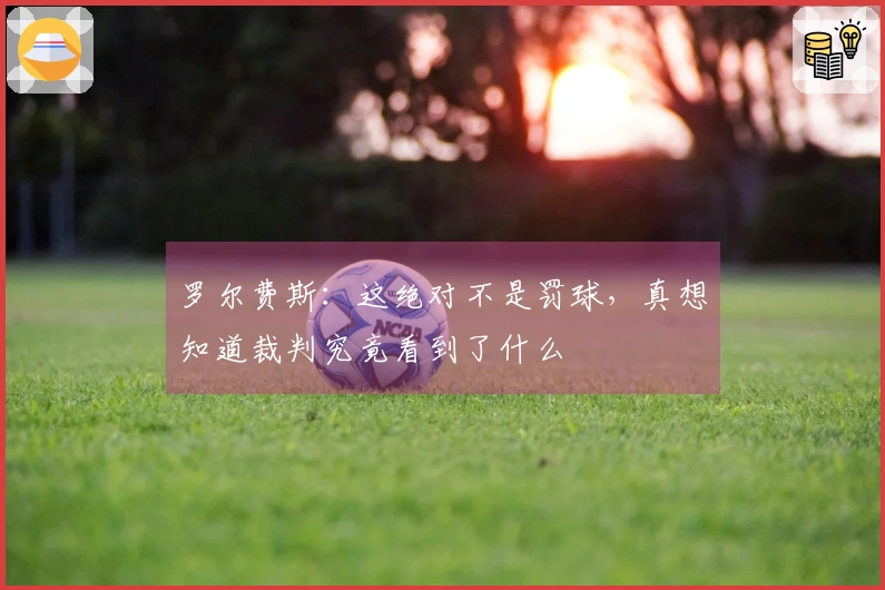 罗尔费斯：这绝对不是罚球，真想知道裁判究竟看到了什么