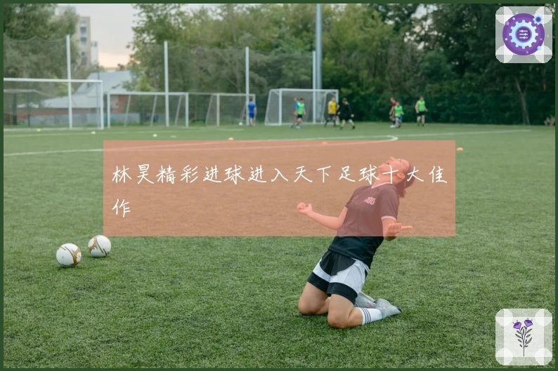 林昊精彩进球进入天下足球十大佳作